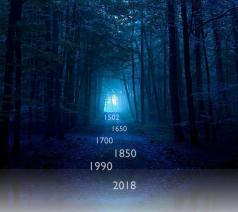 dark-blue-forest-wallpaper-preview